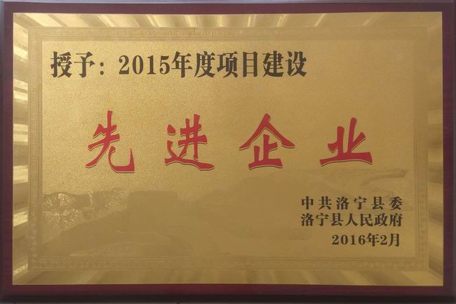 公司榮譽