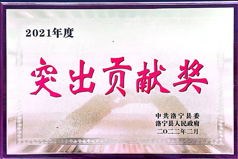 2021年度突出貢獻(xiàn)獎(jiǎng)